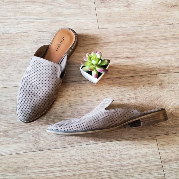 Womens HAYZE4 Mule Indigo Rd